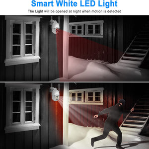 ANRAN 5MP Wifi PTZ Camera Kit with 10.5inch Monitor NVR 2TB HDD